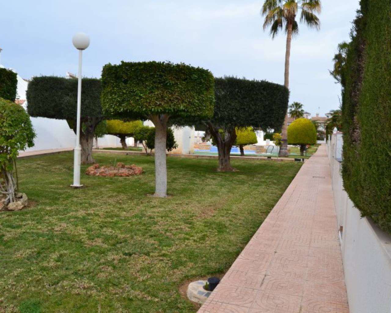 Reventa - Casa Adosada - Alicante* NO USAR -  Ciudad Quesada